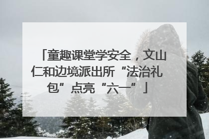童趣课堂学安全，文山仁和边境派出所“法治礼包”点亮“六一”
