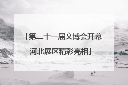 第二十一届文博会开幕 河北展区精彩亮相