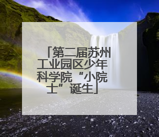 第二届苏州工业园区少年科学院“小院士”诞生