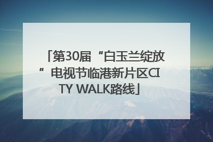第30届“白玉兰绽放”电视节临港新片区CITY WALK路线