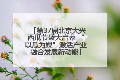 第37届北京大兴西瓜节盛大启幕 “以瓜为媒”激活产业融合发展新动能