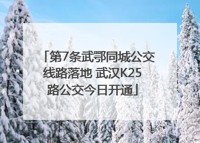 第7条武鄂同城公交线路落地 武汉K25路公交今日开通