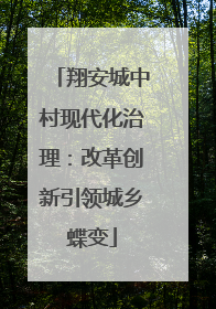 翔安城中村现代化治理：改革创新引领城乡蝶变