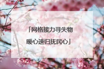 网格接力寻失物 暖心速归抚民心
