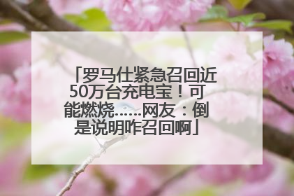 罗马仕紧急召回近50万台充电宝！可能燃烧……网友：倒是说明咋召回啊