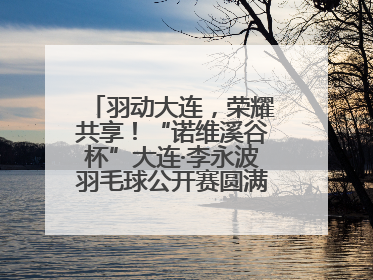 羽动大连，荣耀共享！“诺维溪谷杯”大连·李永波羽毛球公开赛圆满落幕！