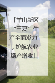 羊山新区“三夏”生产全面发力，护航农业稳产增收