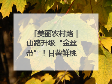 美丽农村路｜山路升级“金丝带”！甘薯鲜桃坐上“快车”，开去大市场
