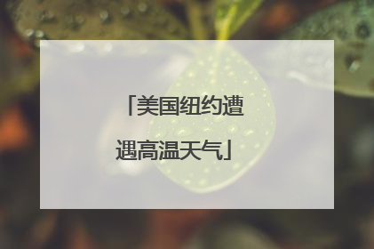 美国纽约遭遇高温天气