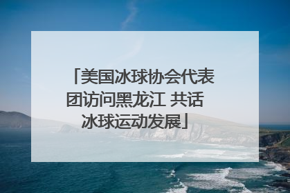 美国冰球协会代表团访问黑龙江 共话冰球运动发展