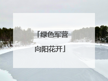 绿色军营 向阳花开