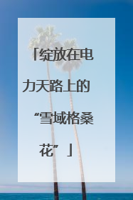 绽放在电力天路上的“雪域格桑花”