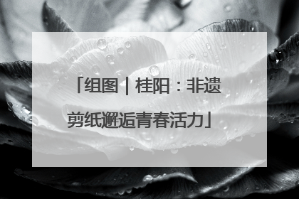 组图｜桂阳：非遗剪纸邂逅青春活力