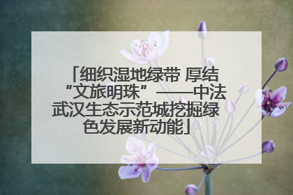 细织湿地绿带 厚结“文旅明珠”——中法武汉生态示范城挖掘绿色发展新动能
