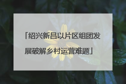 绍兴新昌以片区组团发展破解乡村运营难题