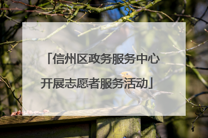 信州区政务服务中心开展志愿者服务活动