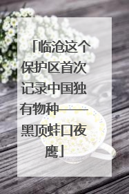 临沧这个保护区首次记录中国独有物种——黑顶蛙口夜鹰