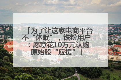 为了让这家电商平台不“休眠”，铁粉用户：愿意花10万元认购原始股“应援”