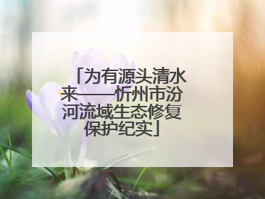为有源头清水来——忻州市汾河流域生态修复保护纪实