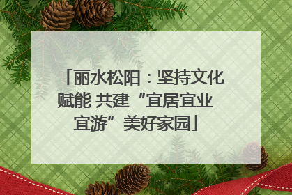 丽水松阳：坚持文化赋能 共建“宜居宜业宜游”美好家园