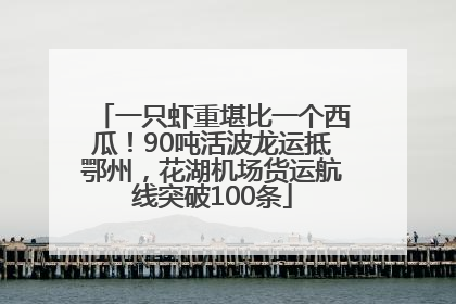一只虾重堪比一个西瓜！90吨活波龙运抵鄂州，花湖机场货运航线突破100条