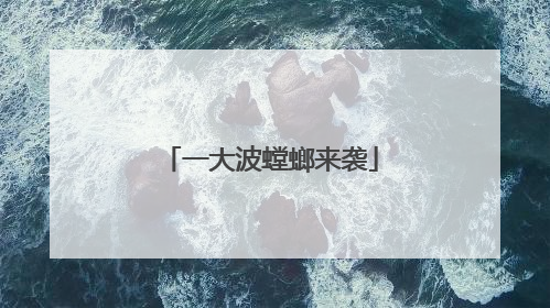 一大波螳螂来袭