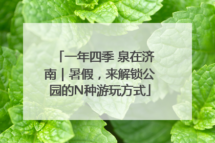 一年四季 泉在济南｜暑假，来解锁公园的N种游玩方式