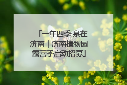 一年四季·泉在济南｜济南植物园露营季启动招募