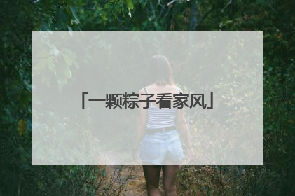 一颗粽子看家风