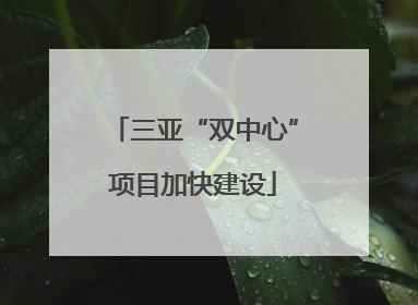 三亚“双中心”项目加快建设