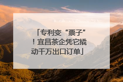 专利变“票子”！宜昌茶企凭它撬动千万出口订单
