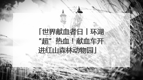 世界献血者日丨环湖“超”热血！献血车开进红山森林动物园