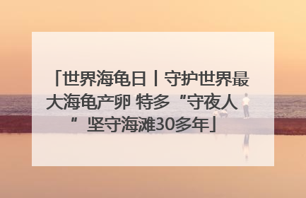 世界海龟日丨守护世界最大海龟产卵 特多“守夜人”坚守海滩30多年