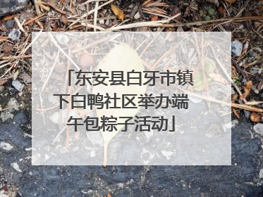 东安县白牙市镇下白鸭社区举办端午包粽子活动