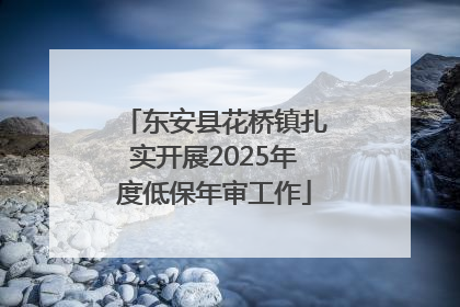 东安县花桥镇扎实开展2025年度低保年审工作