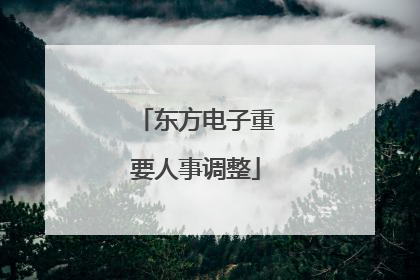 东方电子重要人事调整
