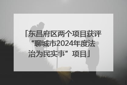 东昌府区两个项目获评“聊城市2024年度法治为民实事”项目