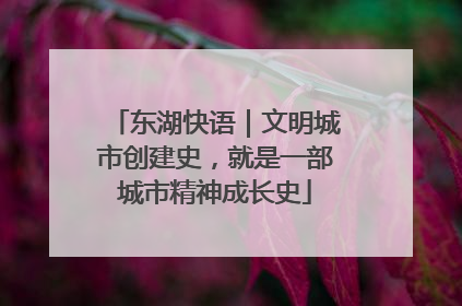东湖快语｜文明城市创建史，就是一部城市精神成长史