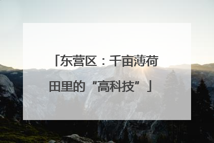 东营区：千亩薄荷田里的“高科技”