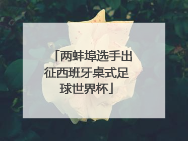 两蚌埠选手出征西班牙桌式足球世界杯