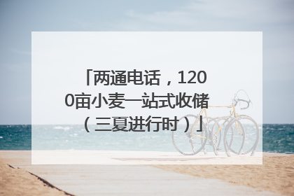 两通电话，1200亩小麦一站式收储（三夏进行时）