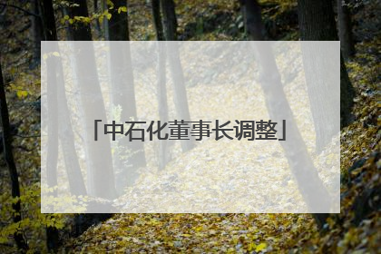 中石化董事长调整