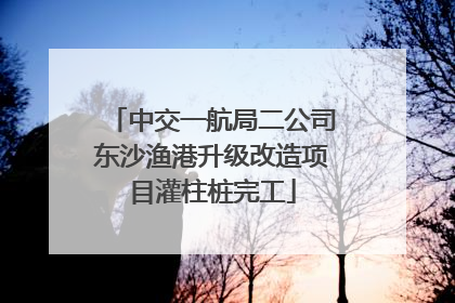 中交一航局二公司东沙渔港升级改造项目灌柱桩完工