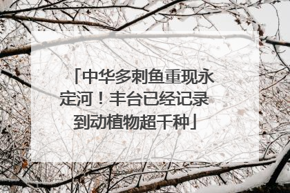 中华多刺鱼重现永定河！丰台已经记录到动植物超千种