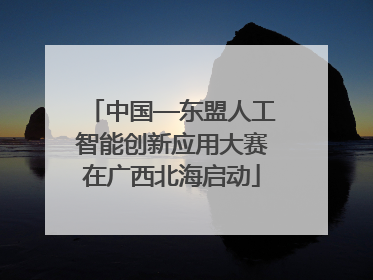 中国—东盟人工智能创新应用大赛在广西北海启动