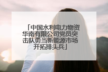 中国水利电力物资华南有限公司党员突击队勇当新能源市场开拓排头兵
