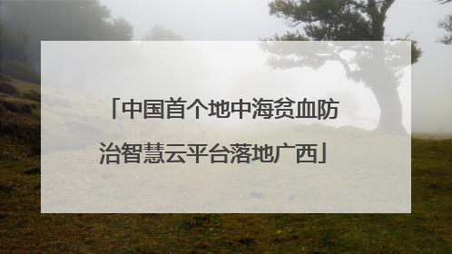 中国首个地中海贫血防治智慧云平台落地广西