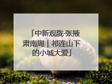 中新观陇·张掖肃南周｜祁连山下的小城大爱