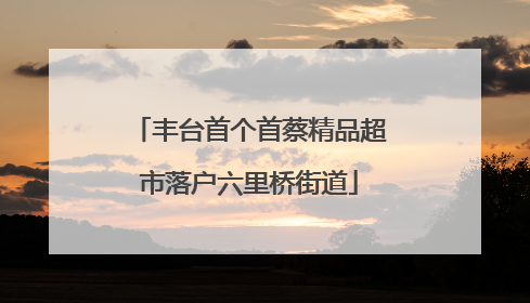 丰台首个首蔡精品超市落户六里桥街道