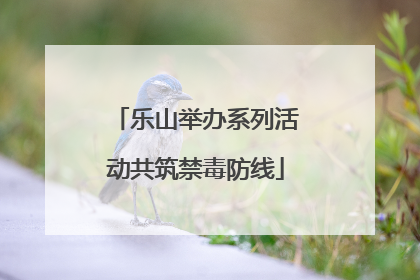 乐山举办系列活动共筑禁毒防线